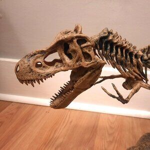 Tyrannosaurus Rex T-Rex model skeleton puzzle science learning teaching tool